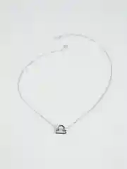 Серый металлик цепочка с подвеской "Знаки зодиака", серебряная, с открыткой