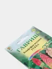 Книфофия Тукка (семена,цветы)