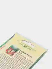 Книфофия Тукка (семена,цветы)