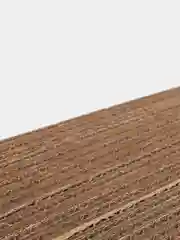 Когтеточка для кошек, с кошачьей мятой
