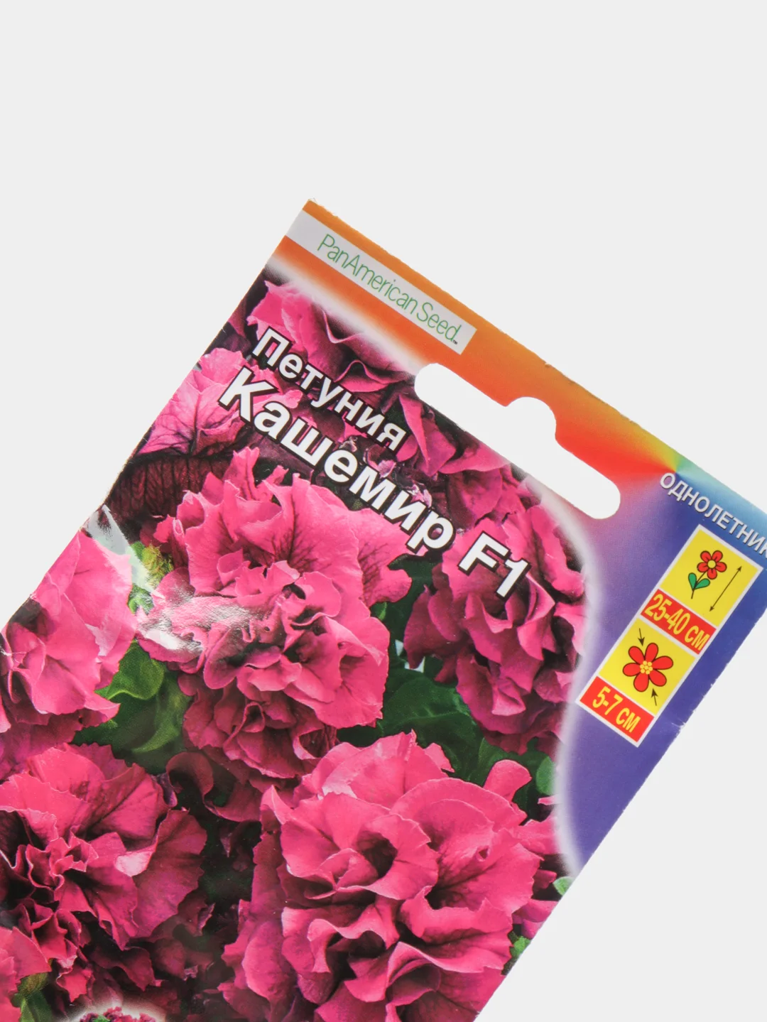 Петуния Кашемир (семена, цветы)