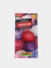 Астра Миледи смесь, семена, цветы