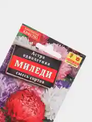 Астра Миледи смесь, семена, цветы