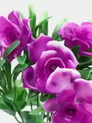 Сиреневый искусственные цветы "Розы"
