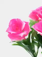 Розовый искусственные цветы "Розы"