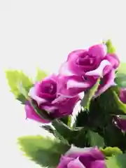 Сиреневый искусственные цветы. Розы (пластиковый букет)