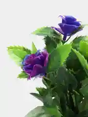 Аметистовый искусственные цветы. Розы (пластиковый букет)