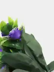 Лавандовый искусственные цветы. Розы (пластиковый букет)