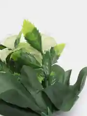 Аметистовый искусственные цветы. Розы (пластиковый букет)