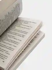 Четыре всадника раздора, Татьяна Полякова