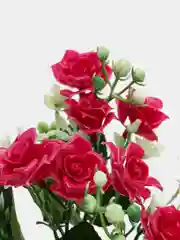Искусственные цветы. Кустовые розы (пластиковый букет ). Высота: 31 см. 15 бутонов