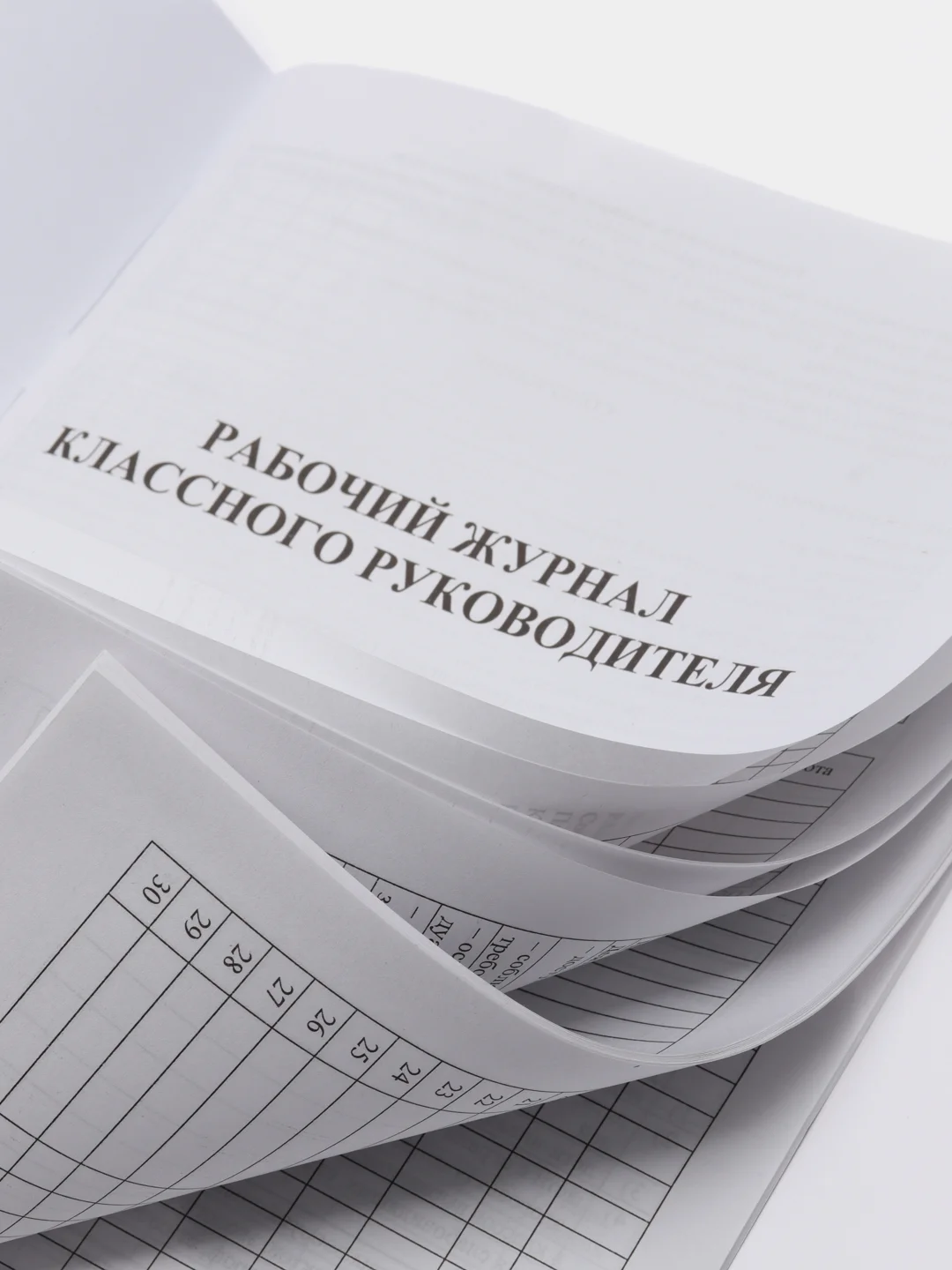 Рабочий журнал классного руководителя
