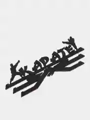 Медальница "Карате"