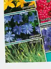 Семена Лекарственный огород "Желудочный"