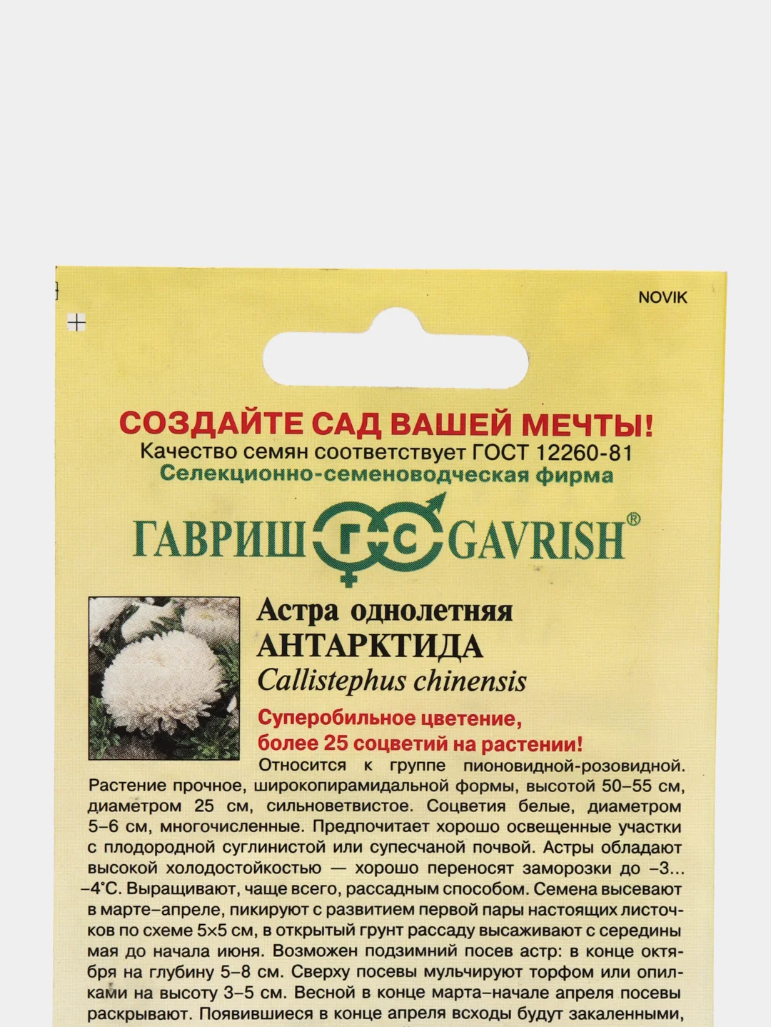 Астра "Антарктида", семена