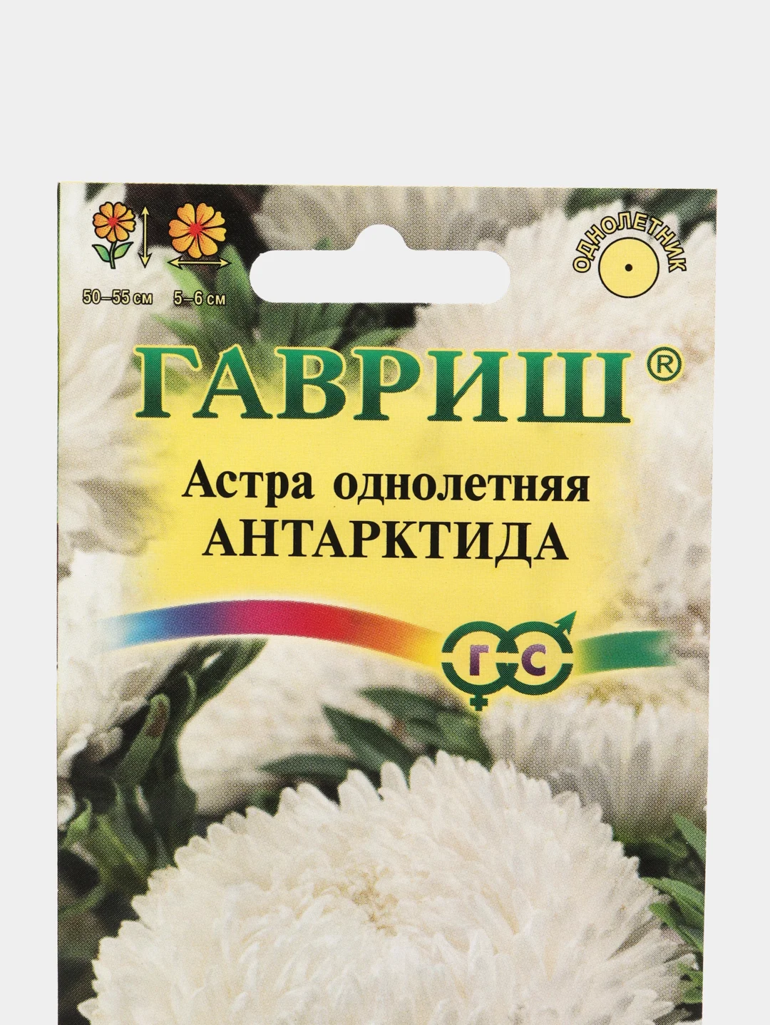 Астра "Антарктида", семена