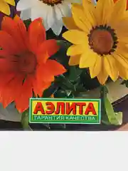 Семена цветов Гацания "Нью дэй солнечная сторона"