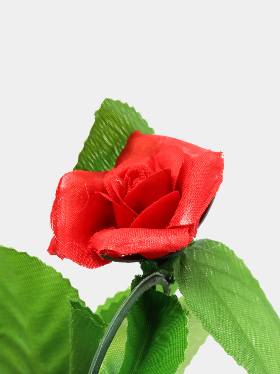 Лиана с розами