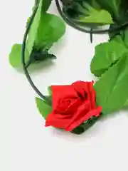 Лиана с розами