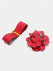 Коралловый набор для декорирования "Мерцание": бант, 6 см, лента, 2 см х 3 м