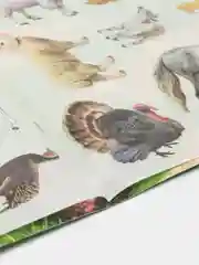 Желтый книга с наклейками Животные Рыбы. Детские наклейки