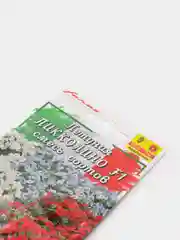 Петуния Пикколино (семена,цветы)