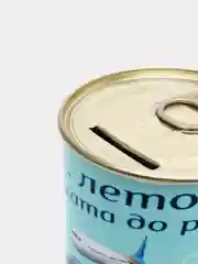 Копилка для денег, монет и купюр "Копим на море"