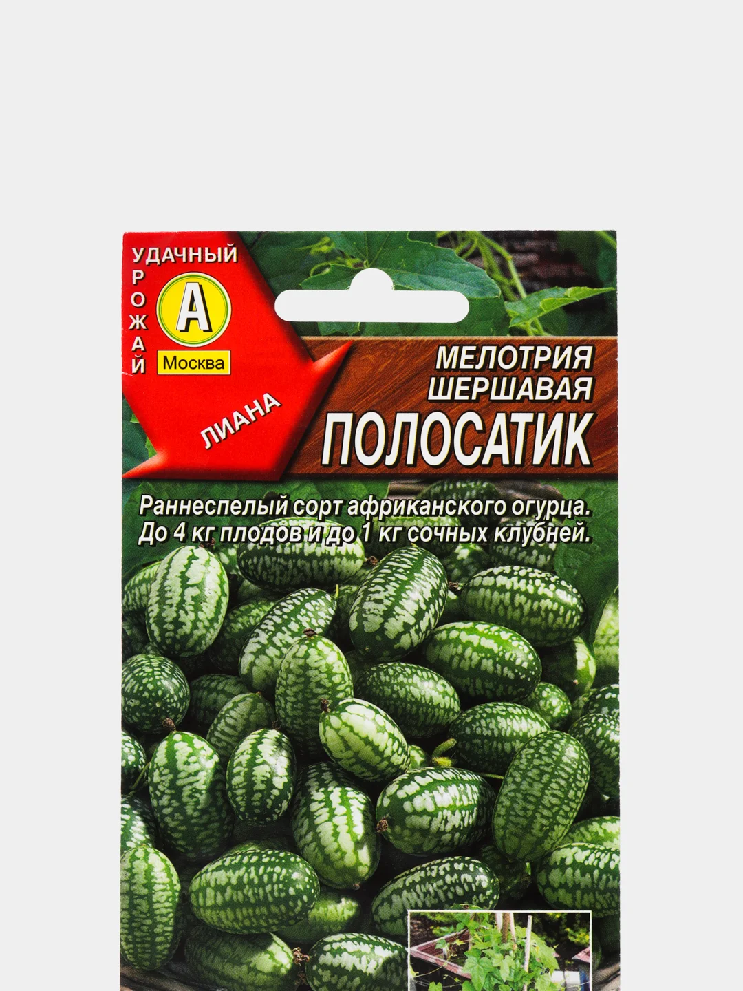 Мелотрия Полосатик (семена)