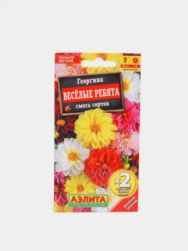 Георгина Веселые ребята(двойная граммовка)