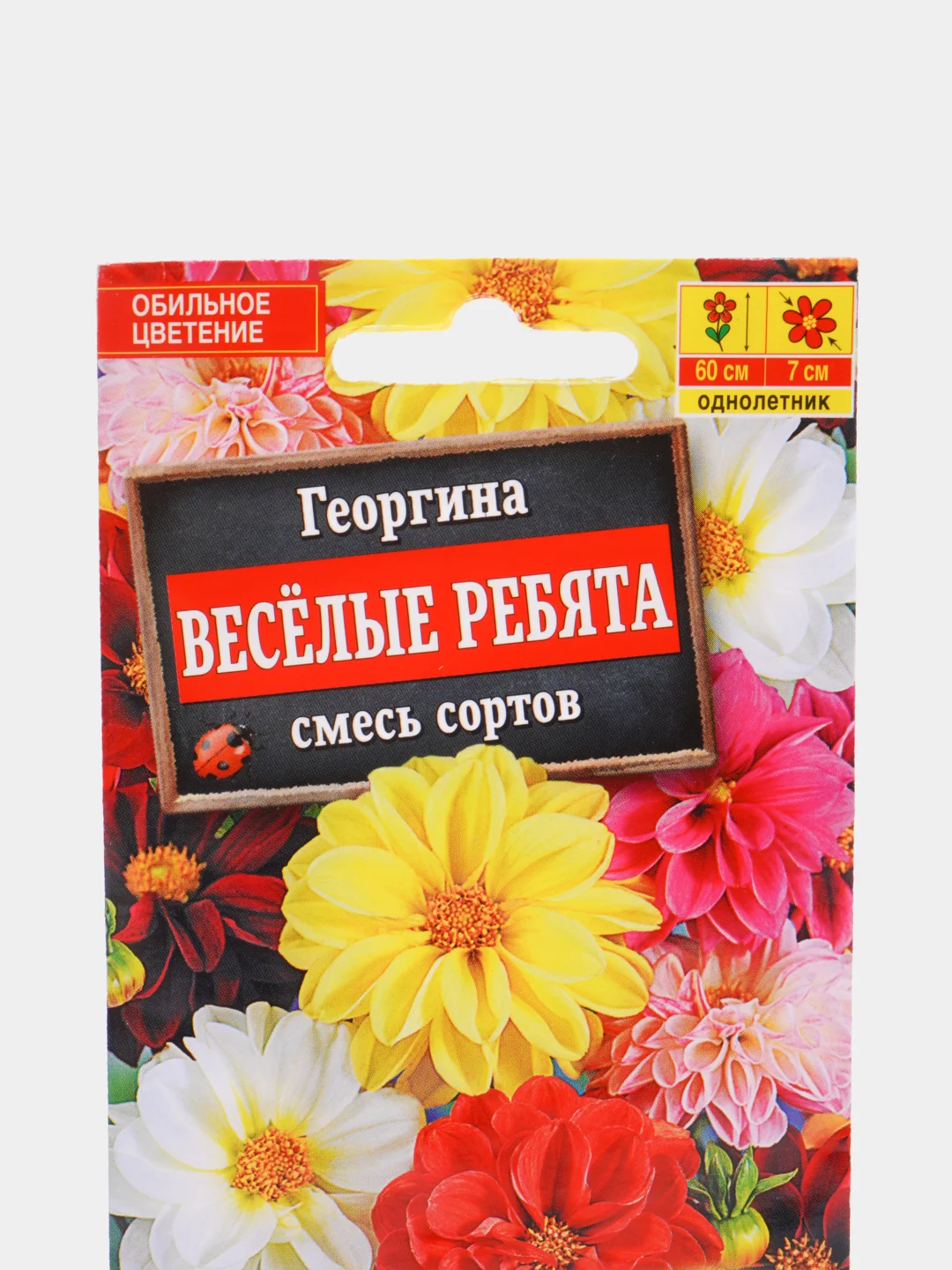 Георгина Веселые ребята(двойная граммовка)