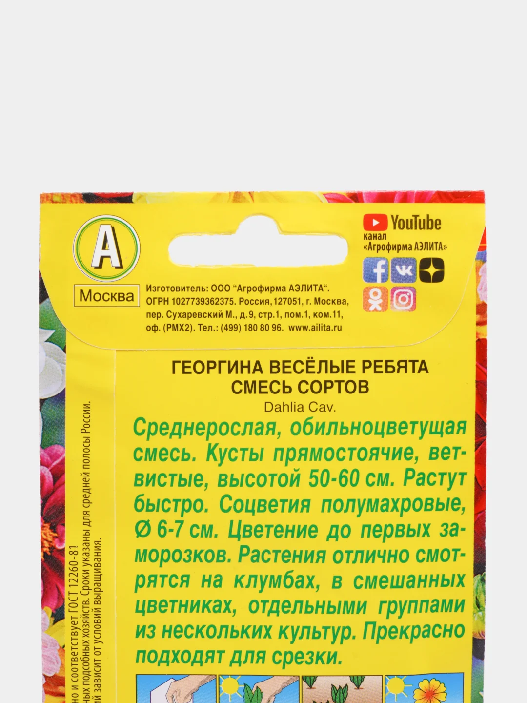 Георгина Веселые ребята(двойная граммовка)