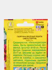 Георгина Веселые ребята(двойная граммовка)