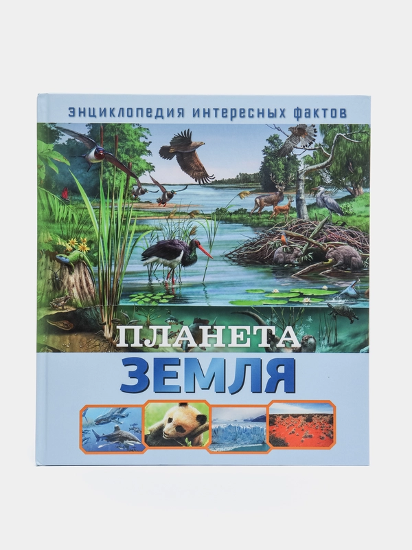 Детская Энциклопедия интересных фактов. Планета Земля