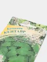 Котовник "Кентавр", семена
