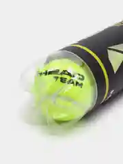 Мячи для большого тенниса Head Team, 3 штуки