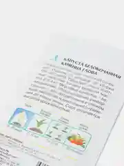 Семена Капуста белокочанная "Каменна Глова", позднеспелая, ГОСТ 32592-2013