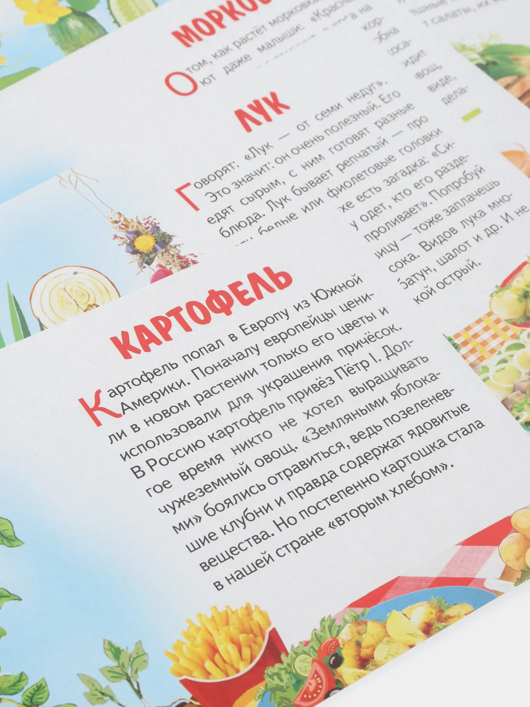 "Овощи", обучающие карточки на картоне с познавательным текстом