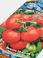 Томат "Безрассадный" (семена)