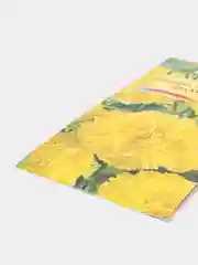 Гвоздика Шабо шампань (семена,цветы)