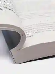 Ежевичная зима, Сара Джио
