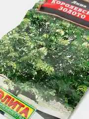 Семена "Липа Королевское золото"