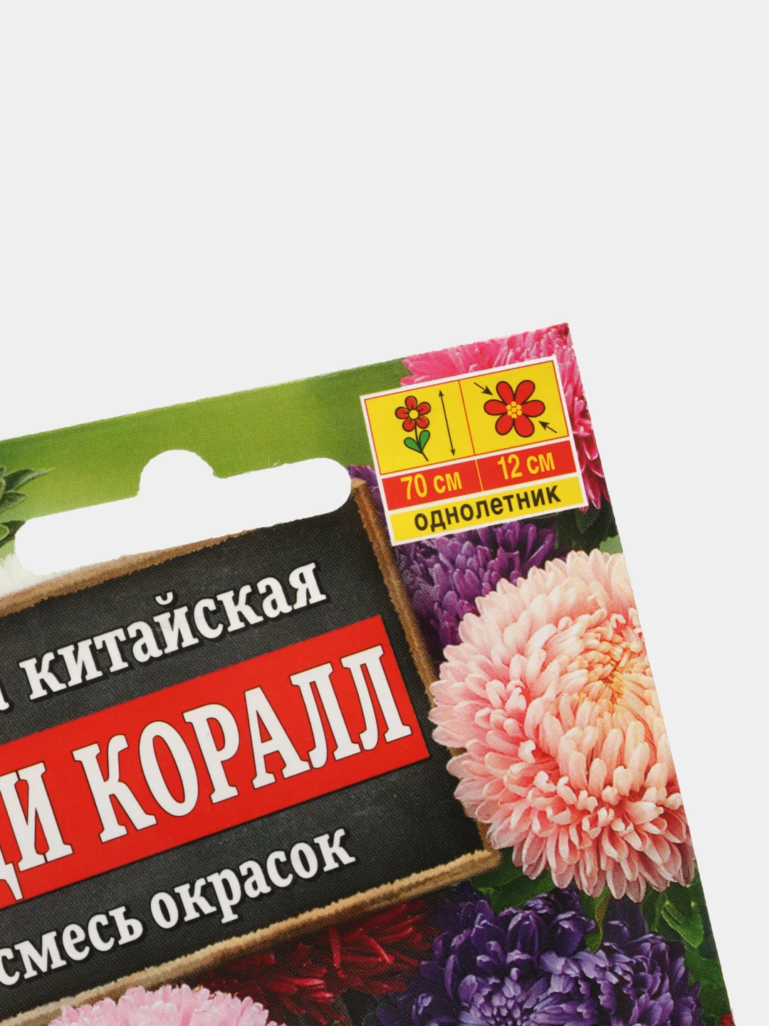 Семена цветы "Астра Леди коралл"