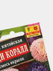 Семена цветы "Астра Леди коралл"