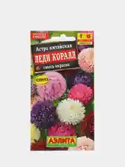 Семена цветы "Астра Леди коралл"
