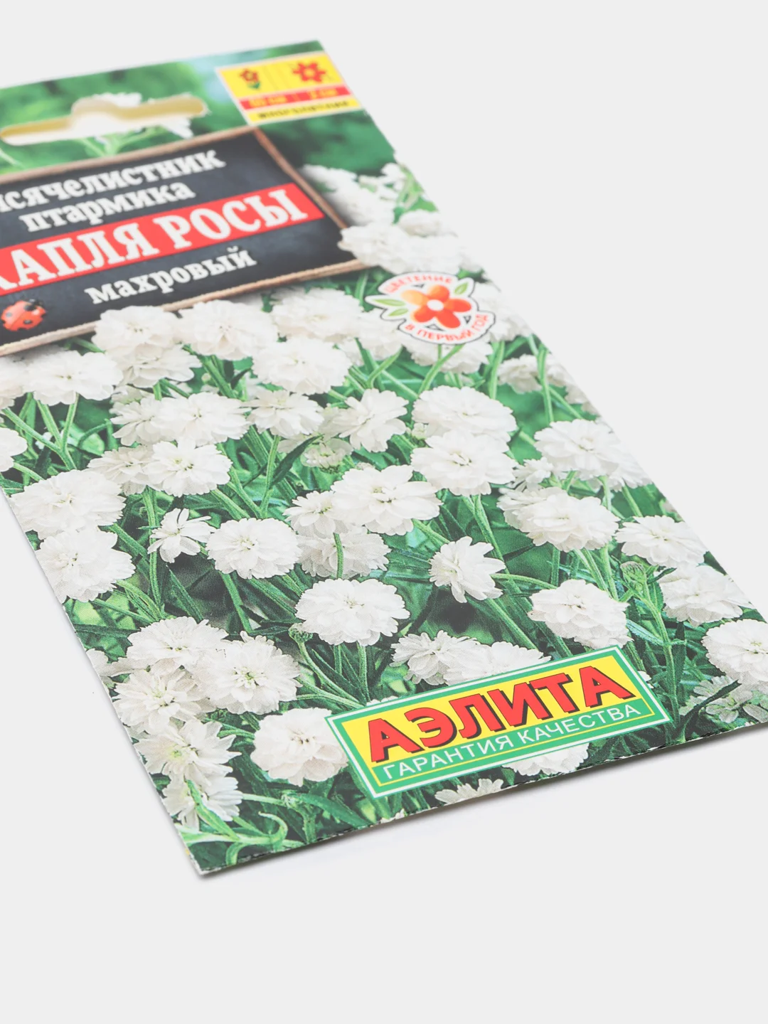 Тысячелистник Капля росы (семена,цветы)