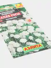 Тысячелистник Капля росы (семена,цветы)