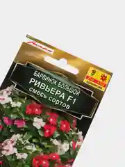 Барвинок Ривьера смесь (семена,цветы)