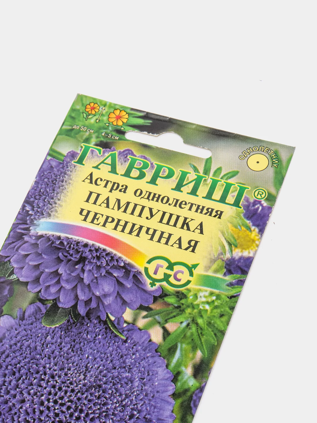 Семена цветов Астра однолетняя "Пампушка черничная", помпонная