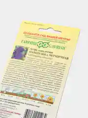Семена цветов Астра однолетняя "Пампушка черничная", помпонная