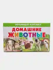 "Домашние животные", обучающие карточки на картоне с познавательным текстом